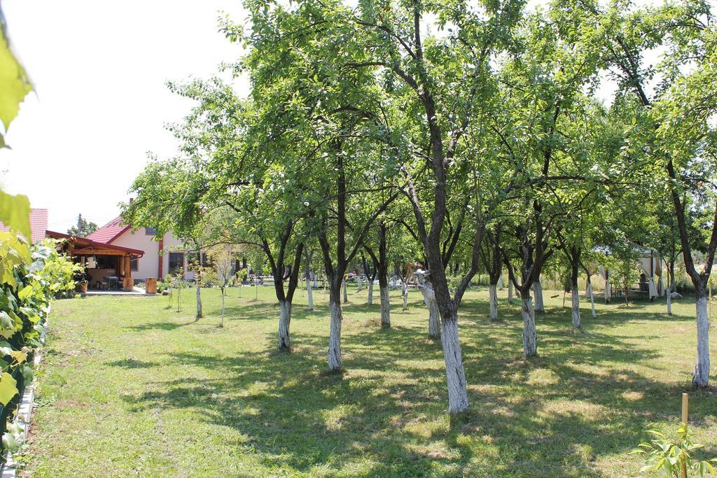 Pensiunea Casa Noastra Baia de Fier Exterior foto